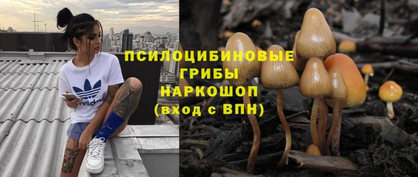 прущая мука Надым