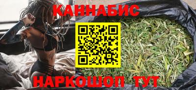 СК Гатчина