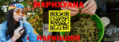 СК Гатчина
