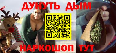 СК Гатчина