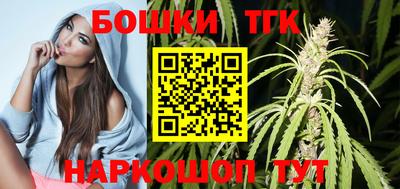 СК Гатчина