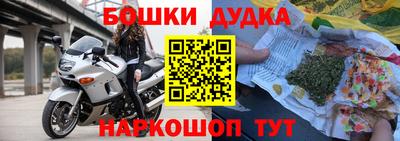 СК Гатчина