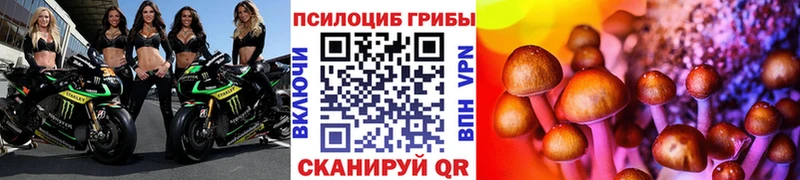 купить наркотики сайты  Санкт-Петербург  Галлюциногенные грибы прущие грибы 