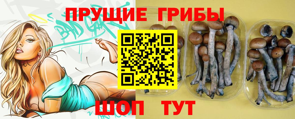 Галлюциногенные грибы Magic Shrooms Санкт-Петербург