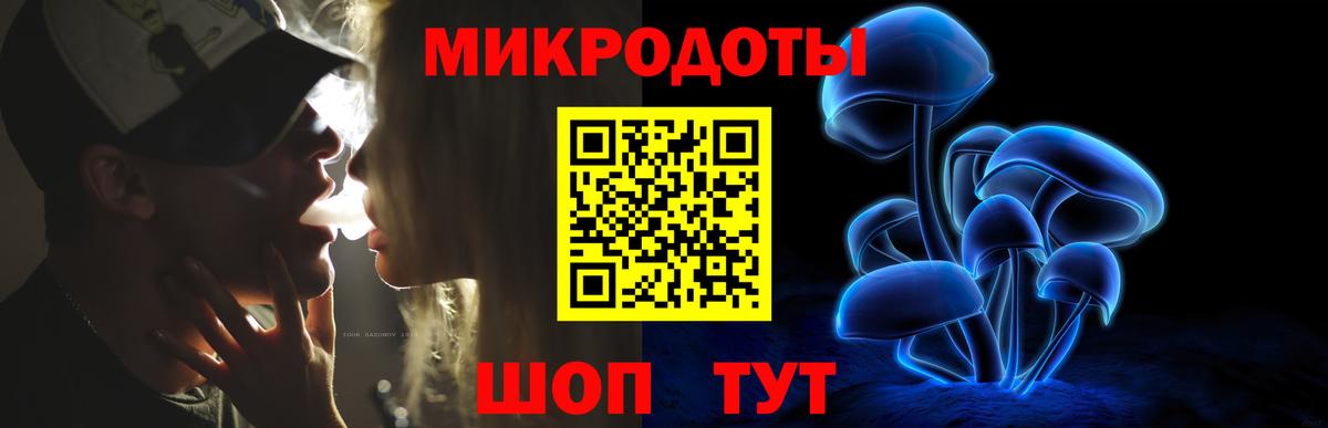 Галлюциногенные грибы Psilocybe Санкт-Петербург